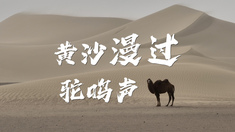 【视频】黄沙漫过驼鸣声